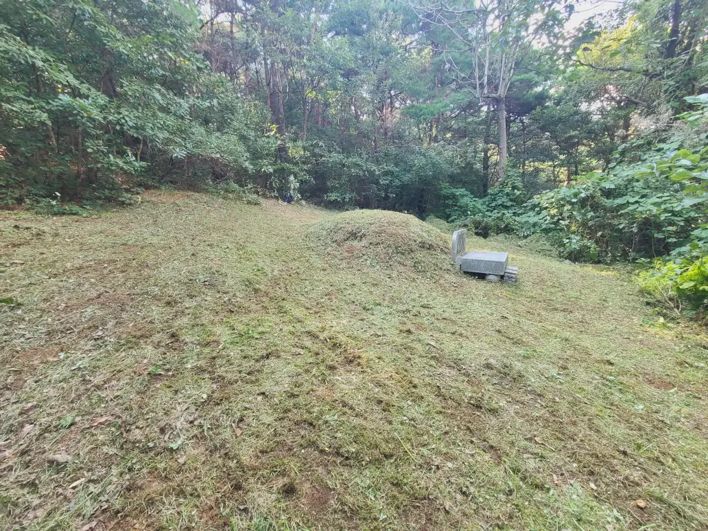 경산시 용성면, 자인면, 진량읍, 하양읍 벌초대행 짧은 후기. 작업 사진 4