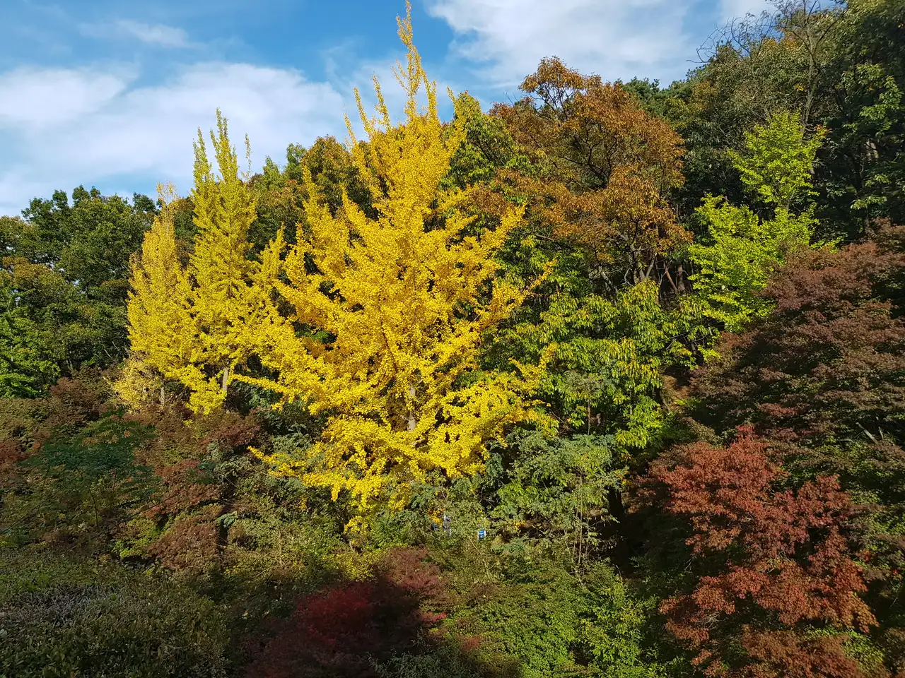 (4점) 대구 남구 앞산 케이블카. 케이블카 타고 올라간 앞산과 낙동강승전기념관 작업 사진 26