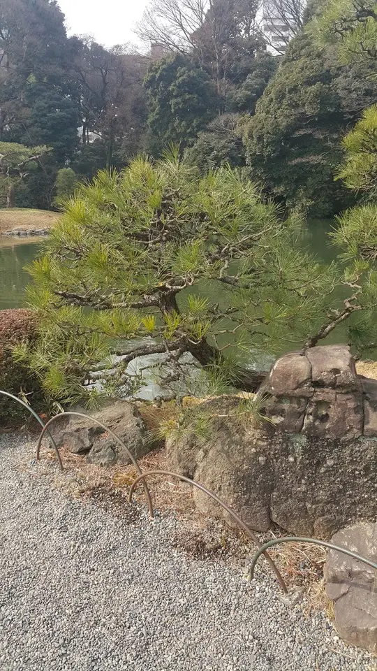 <도쿄 신주쿠 교엔> 도쿄 안의 국립공원 작업 사진 7
