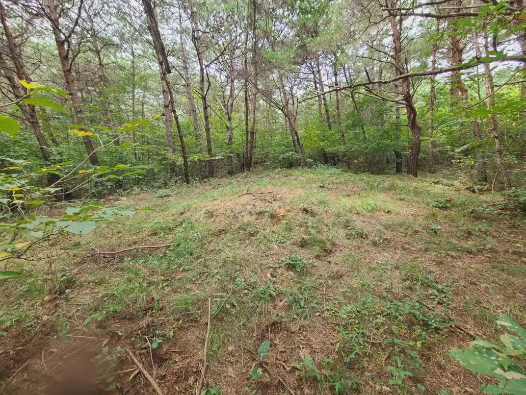 (벌초 대행) 영천시 고경면, 대창면, 북안면, 신녕면, 임고면, 청통면, 화남면, 화북면, 화산면 벌초 후기. 가격. 작업 사진 23