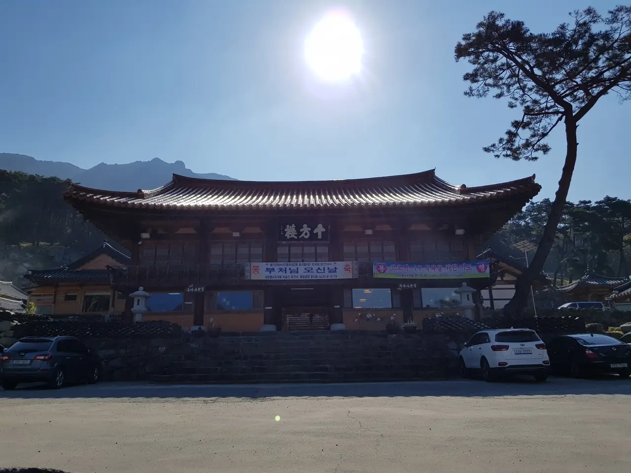 2020년 아쉬운 비슬산 참꽃. 유가사=>천왕봉=>참꽃군락지=>유가사 코스 작업 사진 7