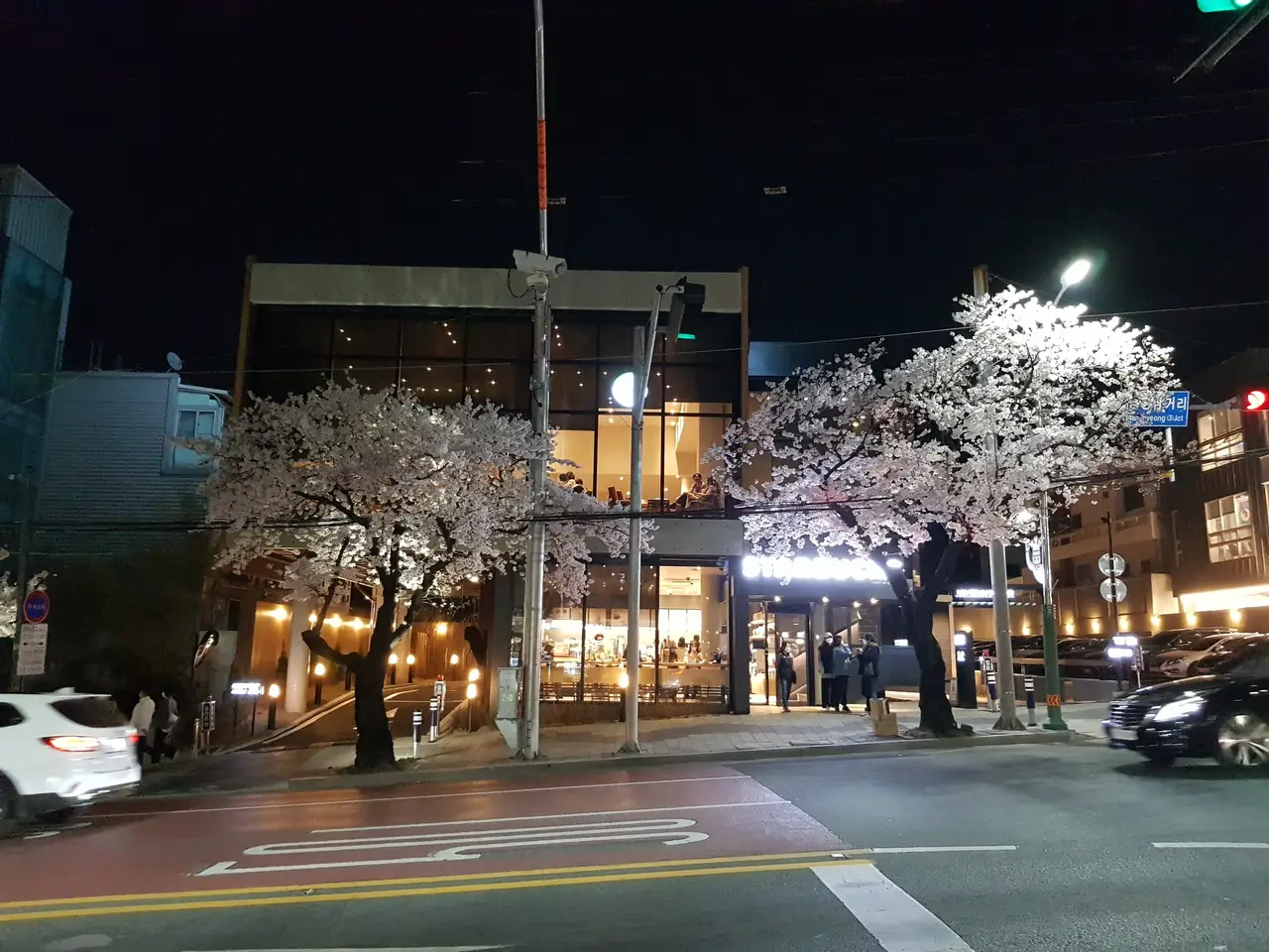 (4점) 이월드 벚꽃 대신하여 다녀온 앞산 벚꽃 로드 (만족!) 작업 사진 9