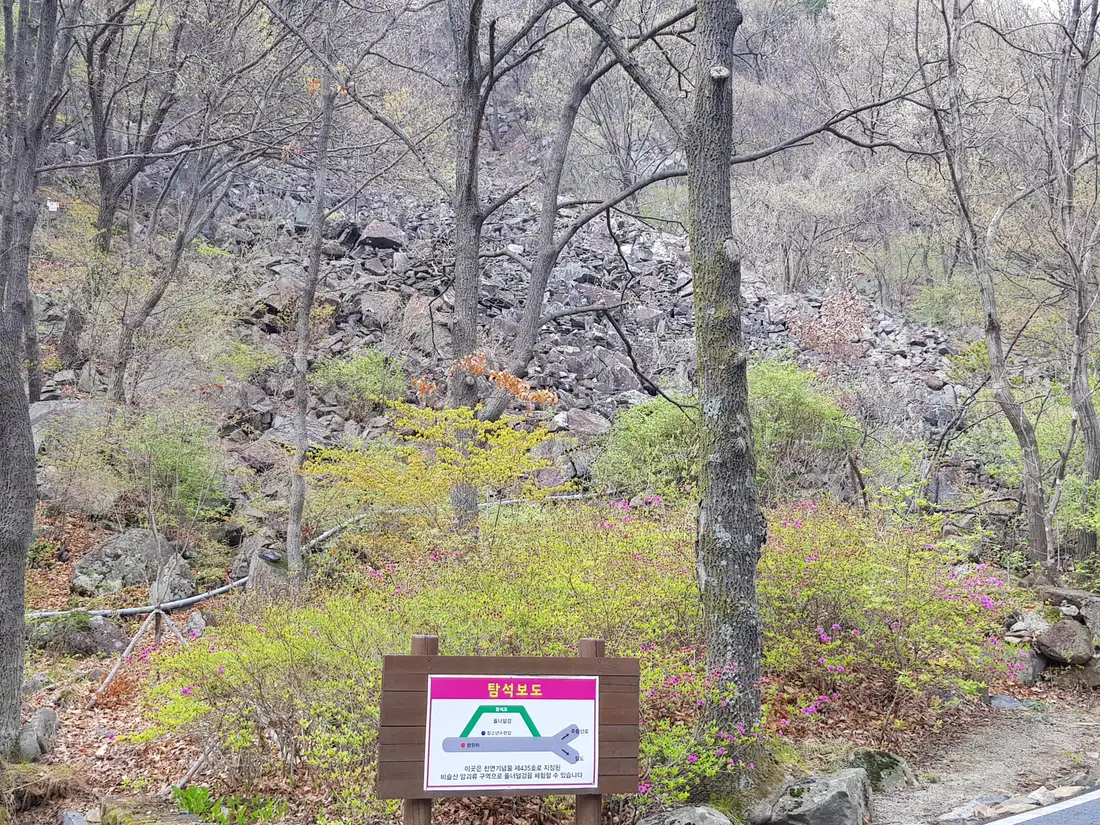 (5점) 대구 비슬산 참꽃. 비슬산자연휴양림 공영주차장->대견사 코스. 작업 사진 15