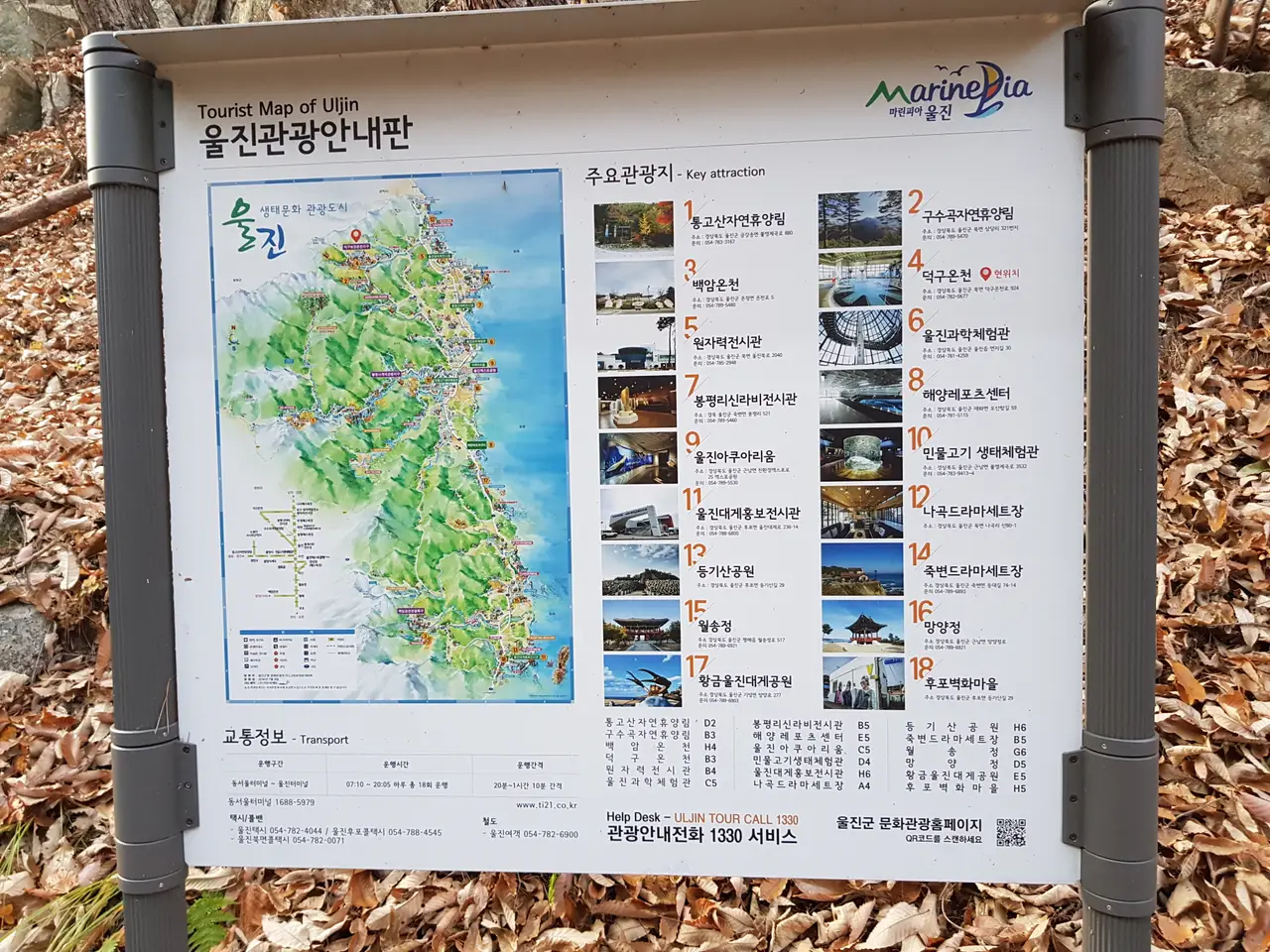 (4점) 울진군 북면 덕구온천. 트래킹 and 온천물 족욕 체험 '덕구계곡' 작업 사진 26