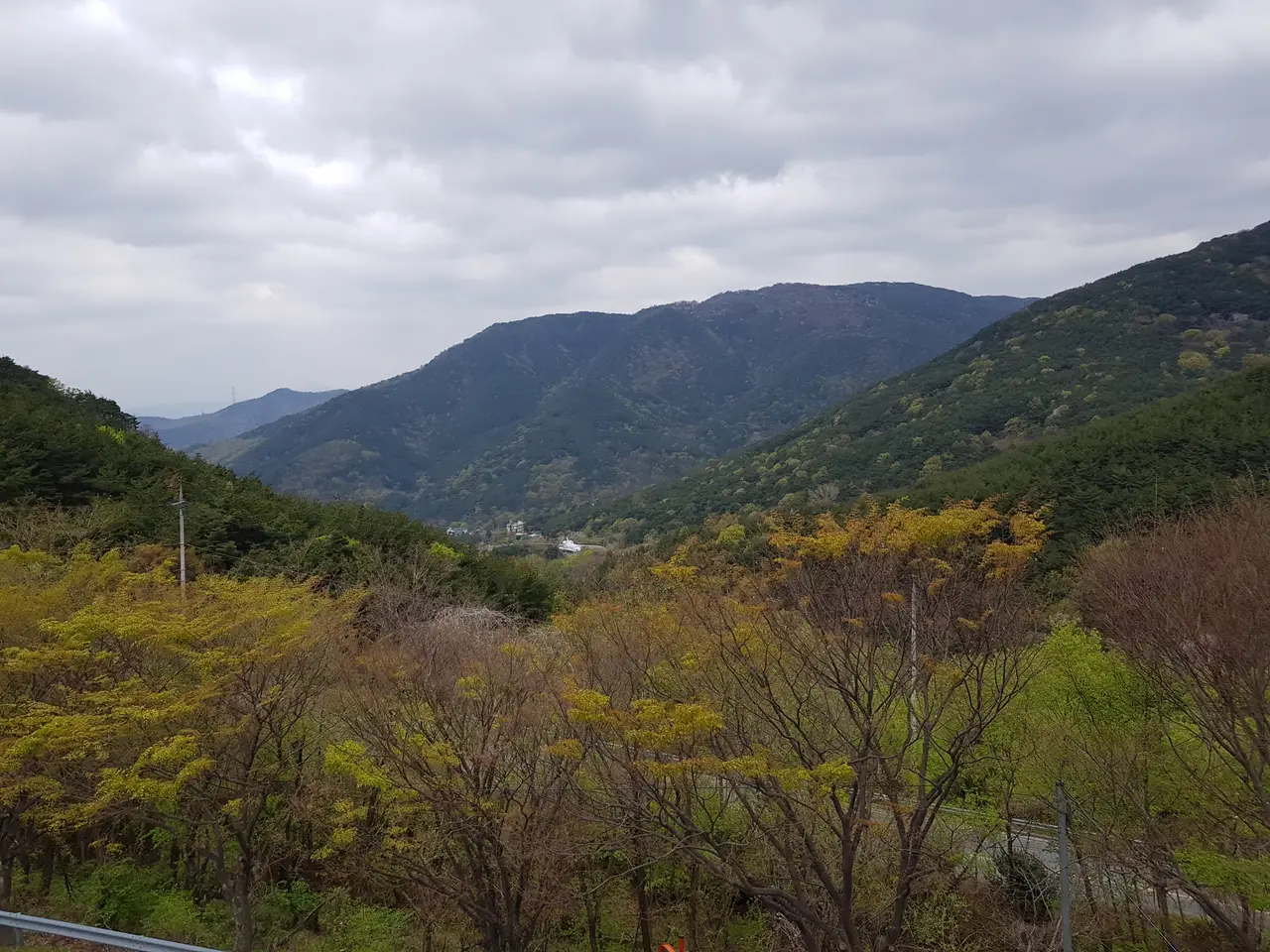 (5점) 대구 비슬산 참꽃. 비슬산자연휴양림 공영주차장->대견사 코스. 작업 사진 2
