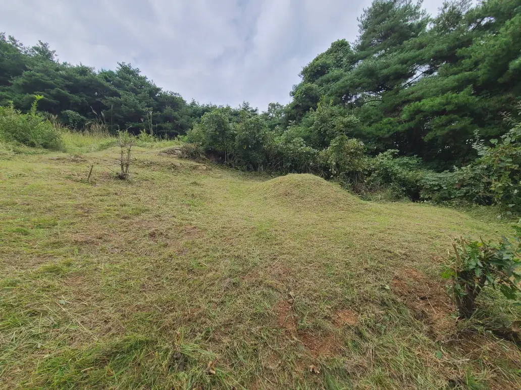 (벌초 대행) 영천시 고경면, 대창면, 북안면, 신녕면, 임고면, 청통면, 화남면, 화북면, 화산면 벌초 후기. 가격. 작업 사진 26