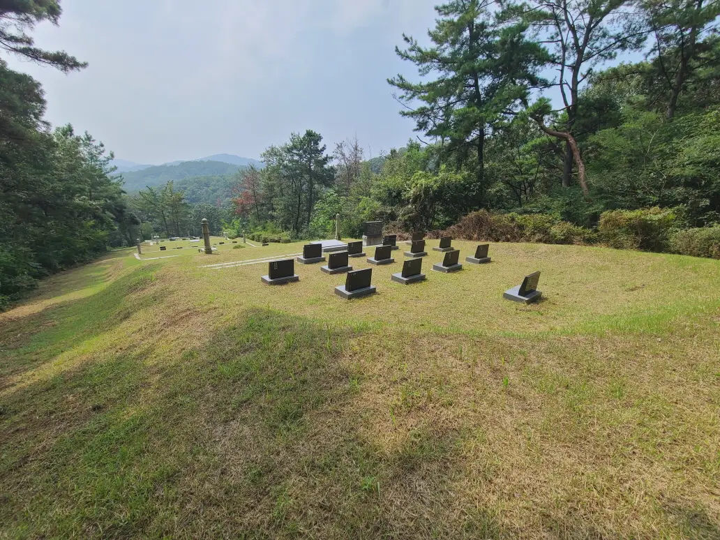 칠곡군 지천면 문중 산소 벌초하고 왔습니다. (벌초 가격) 작업 사진 10