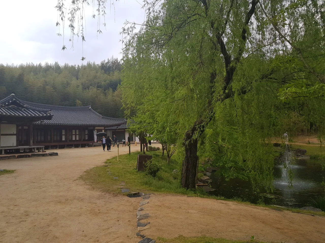 (5점) 전남 담양 '죽녹원' 이 정도는 되어야 대나무 숲이지~ 작업 사진 24