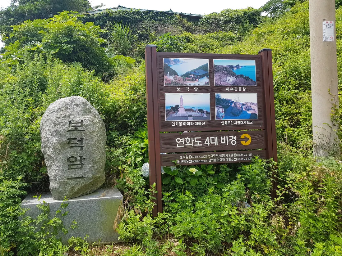 (5점) 6월 말~7월 초 경남 통영 추천 여행지. '연화도 수국 꽃 여행' 작업 사진 29