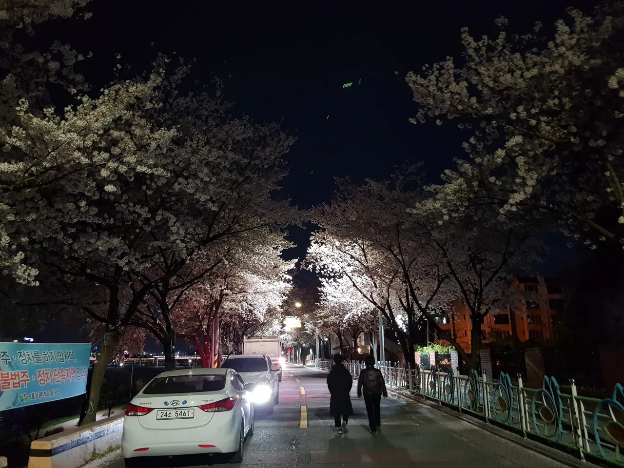 (3점) 대구 야간 벚꽃길 아양교역 근처 작업 사진 3