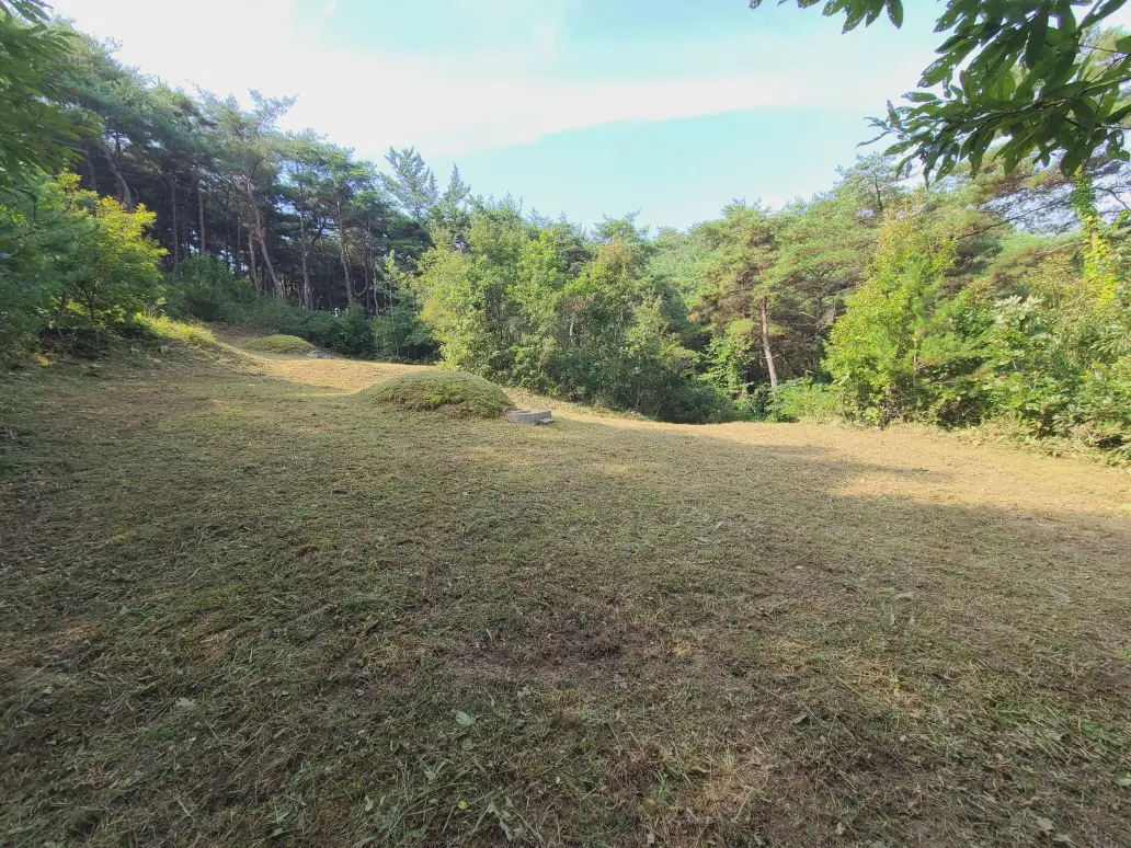 (벌초 대행) 영천시 고경면, 대창면, 북안면, 신녕면, 임고면, 청통면, 화남면, 화북면, 화산면 벌초 후기. 가격. 작업 사진 68