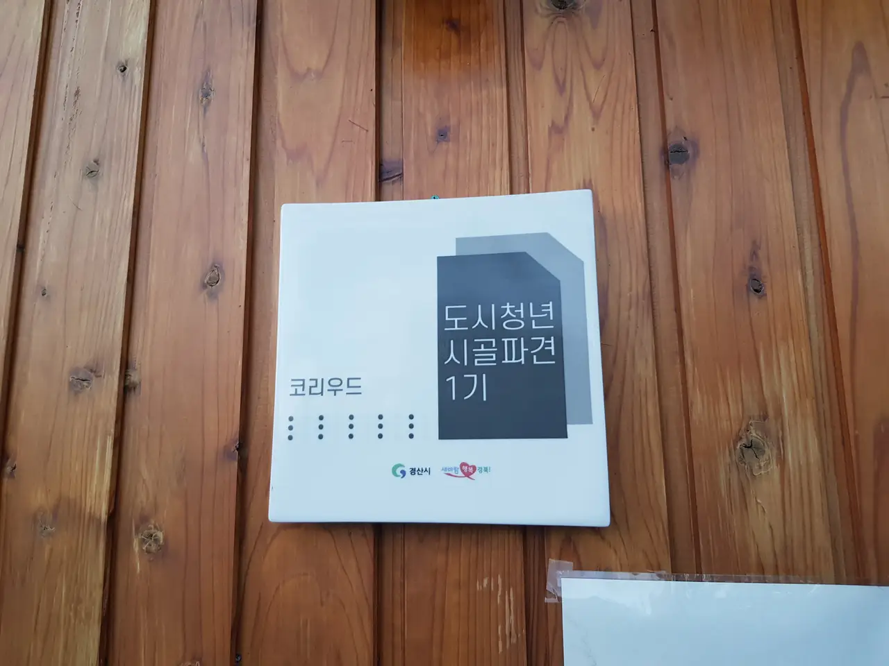 (4점) 경산시 진량읍 보인리. 코리도라스/플레코 물고기 매장 '코리우드' 작업 사진 2