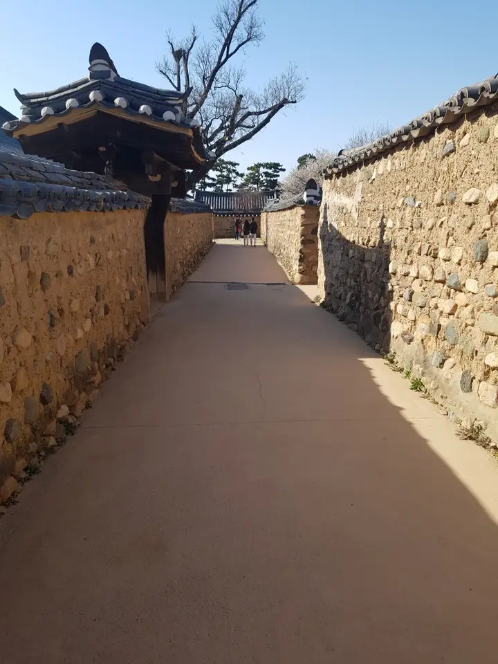 <3월 대구여행> 달성군 화원읍  홍매화가 이쁜 '남평 문씨 본리 세거지' 작업 사진 5