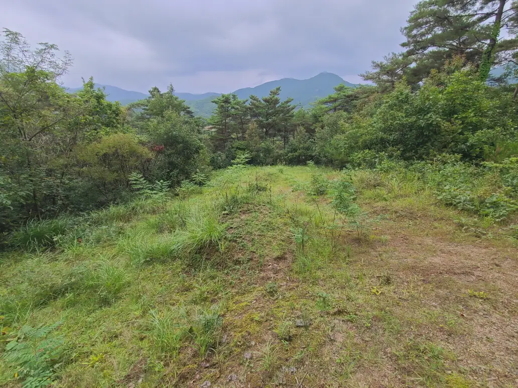 (벌초 대행) 영천시 고경면, 대창면, 북안면, 신녕면, 임고면, 청통면, 화남면, 화북면, 화산면 벌초 후기. 가격. 작업 사진 71