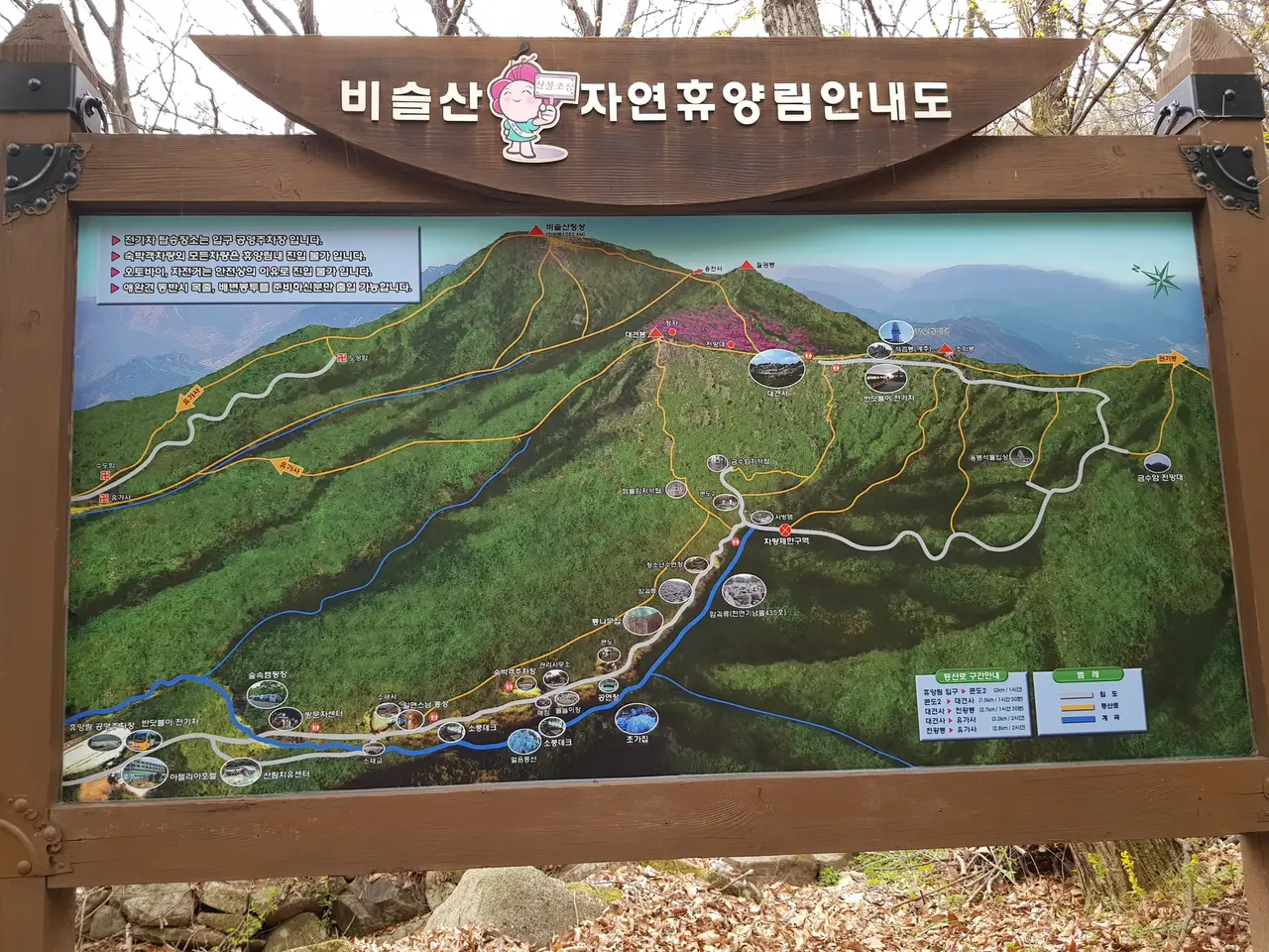 (5점) 대구 비슬산 참꽃. 비슬산자연휴양림 공영주차장->대견사 코스. 작업 사진 11