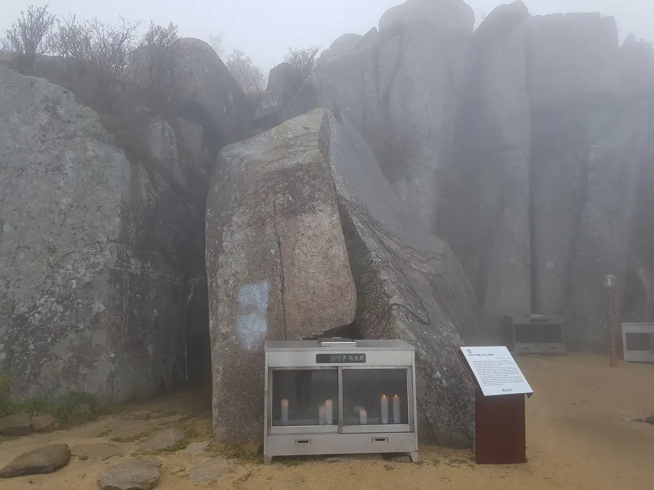 (5점) 대구 비슬산 참꽃. 비슬산자연휴양림 공영주차장->대견사 코스. 작업 사진 32