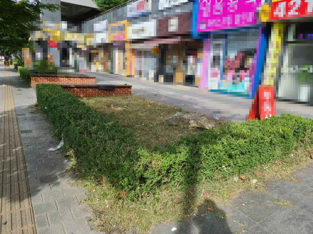 (아파트 상가 화단 벌초) 대구 북구 아파트 단지 상가 앞 화단 벌초. 작업 사진 9