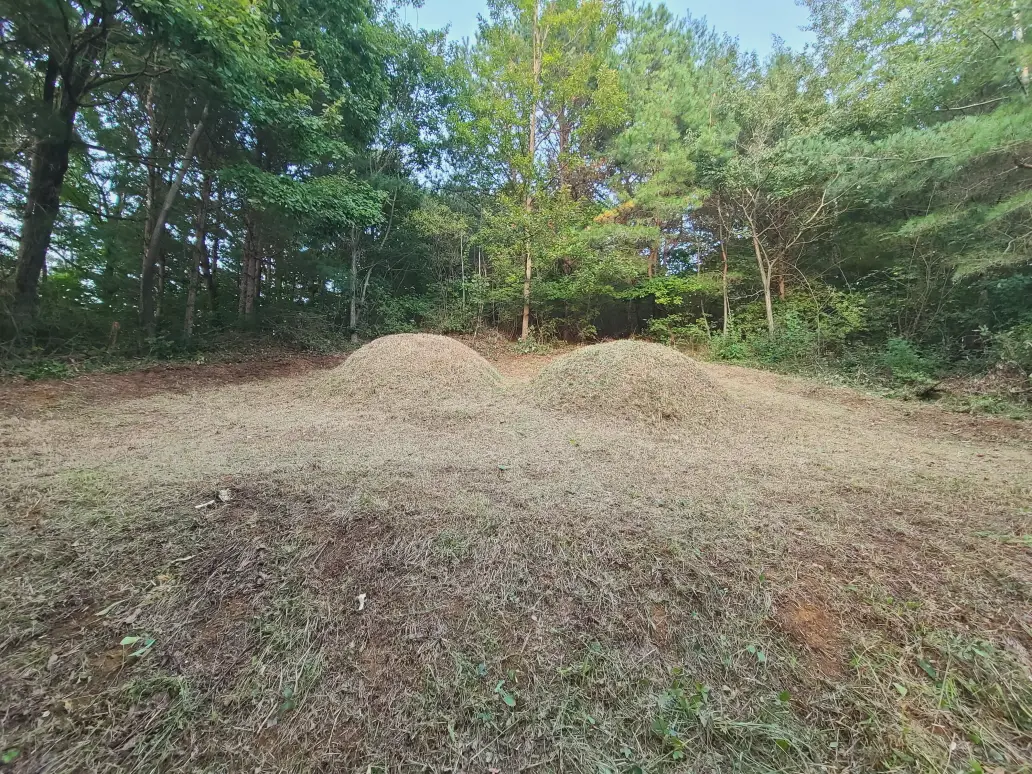 경산시 용성면, 자인면, 진량읍, 하양읍 벌초대행 짧은 후기. 작업 사진 6