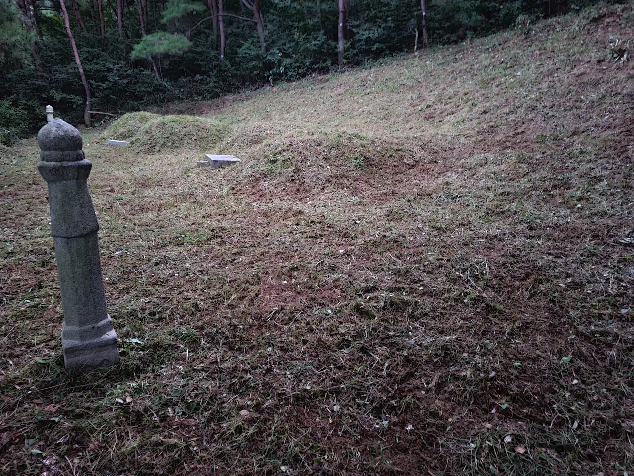 (벌초대행) 대구 달서구 대곡동, 도원동, 수성구 성동, 파동, 칠곡군 가산면 벌초. 작업 사진 2