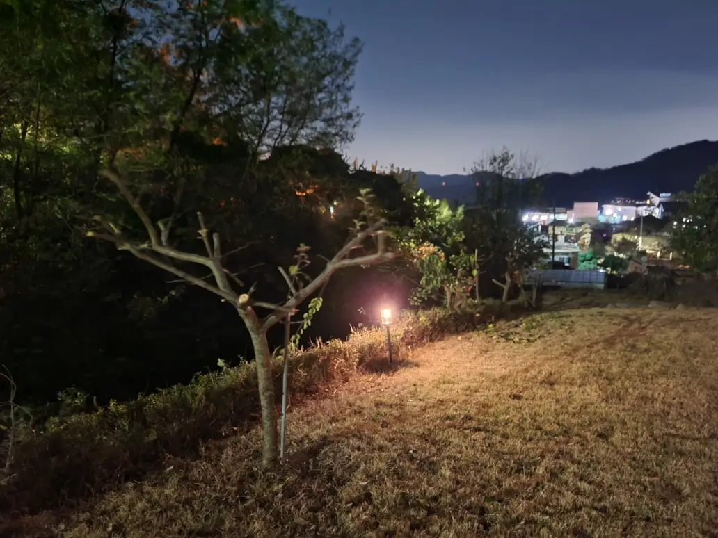 (대구 주택정원관리 및 벌초) 제초 및 정원수 가지정리, 꽃 식재, 잔디제초제 작업. 작업 사진 13