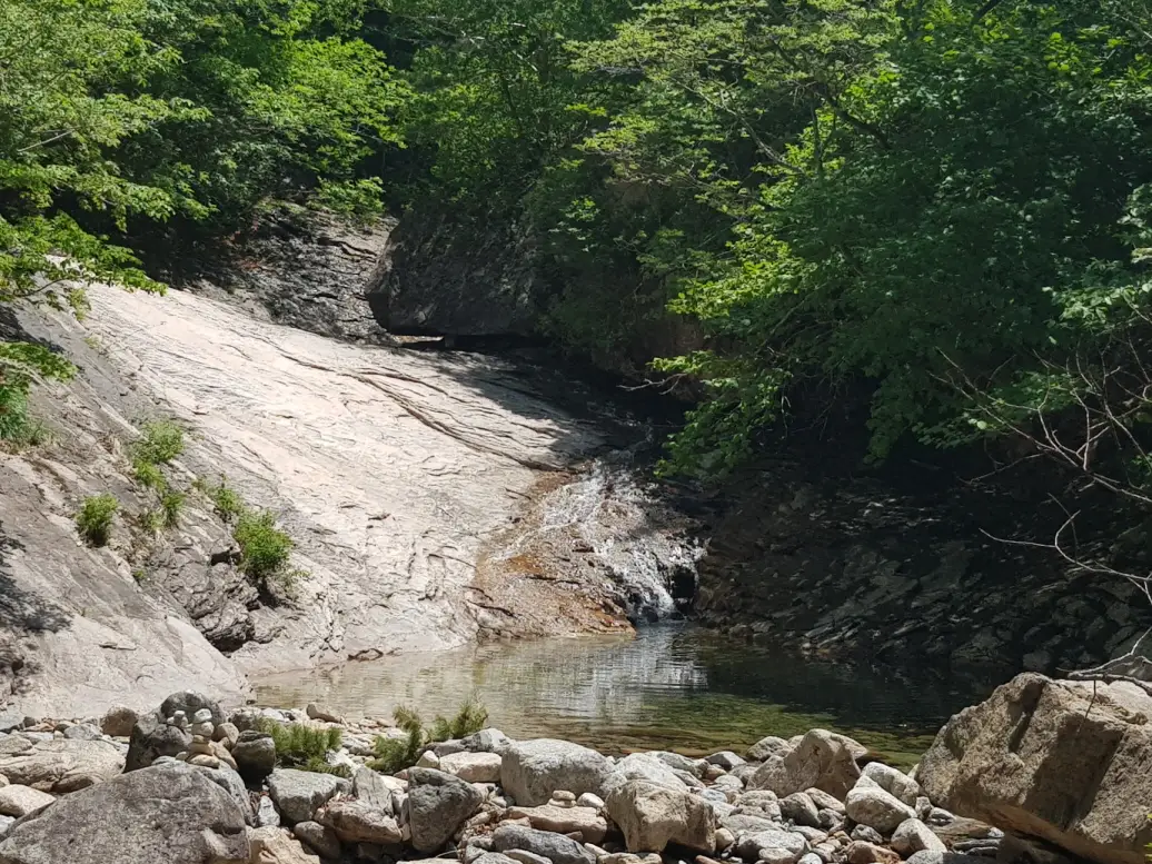 (5점) 6월 설악산 무박2일 등산 (오색->대청봉->소청->봉정암->영시암->백담사 코스) 작업 사진 34