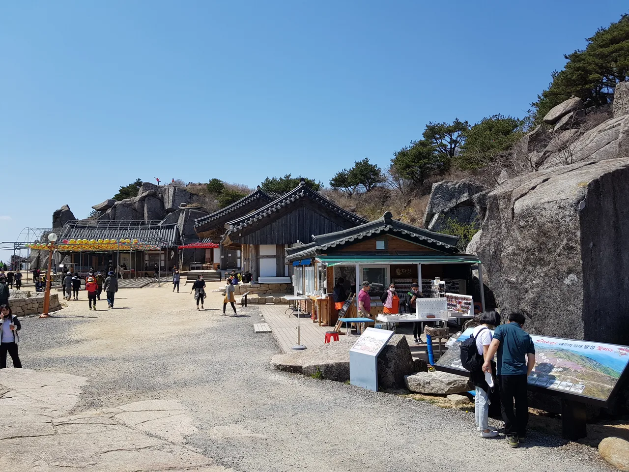 2020년 아쉬운 비슬산 참꽃. 유가사=>천왕봉=>참꽃군락지=>유가사 코스 작업 사진 55