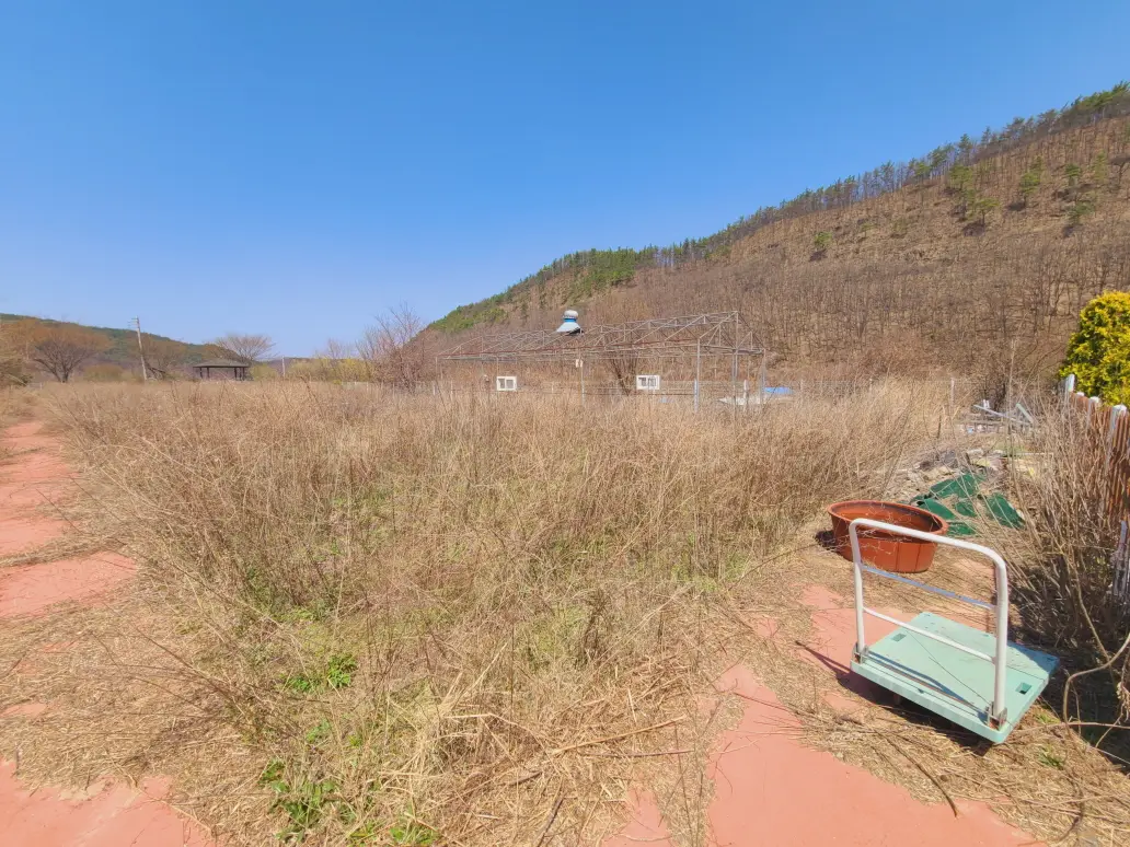 (텃밭 제초 작업) 대구 군위군 부계면 제초 작업 후기. 제초(예초) 작업 가격. 작업 사진 3