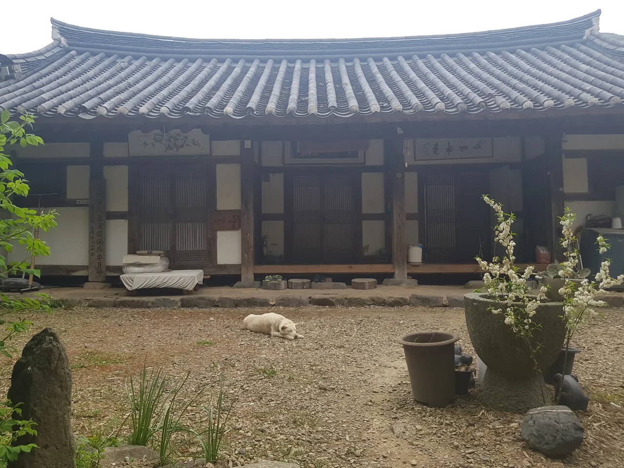 (4점) 전남 담양, 호남의 3대 정원 중 하나인 '양산보의 소쇄원'에 다녀오다 작업 사진 24