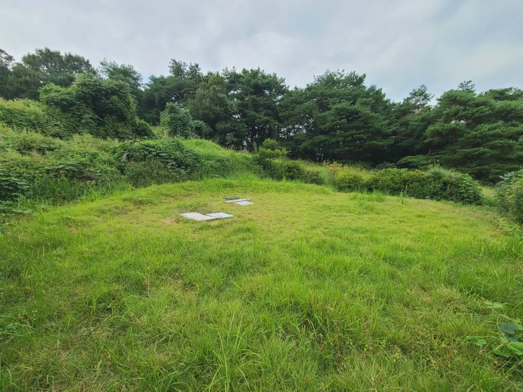 (벌초 대행) 영천시 고경면, 대창면, 북안면, 신녕면, 임고면, 청통면, 화남면, 화북면, 화산면 벌초 후기. 가격. 작업 사진 31