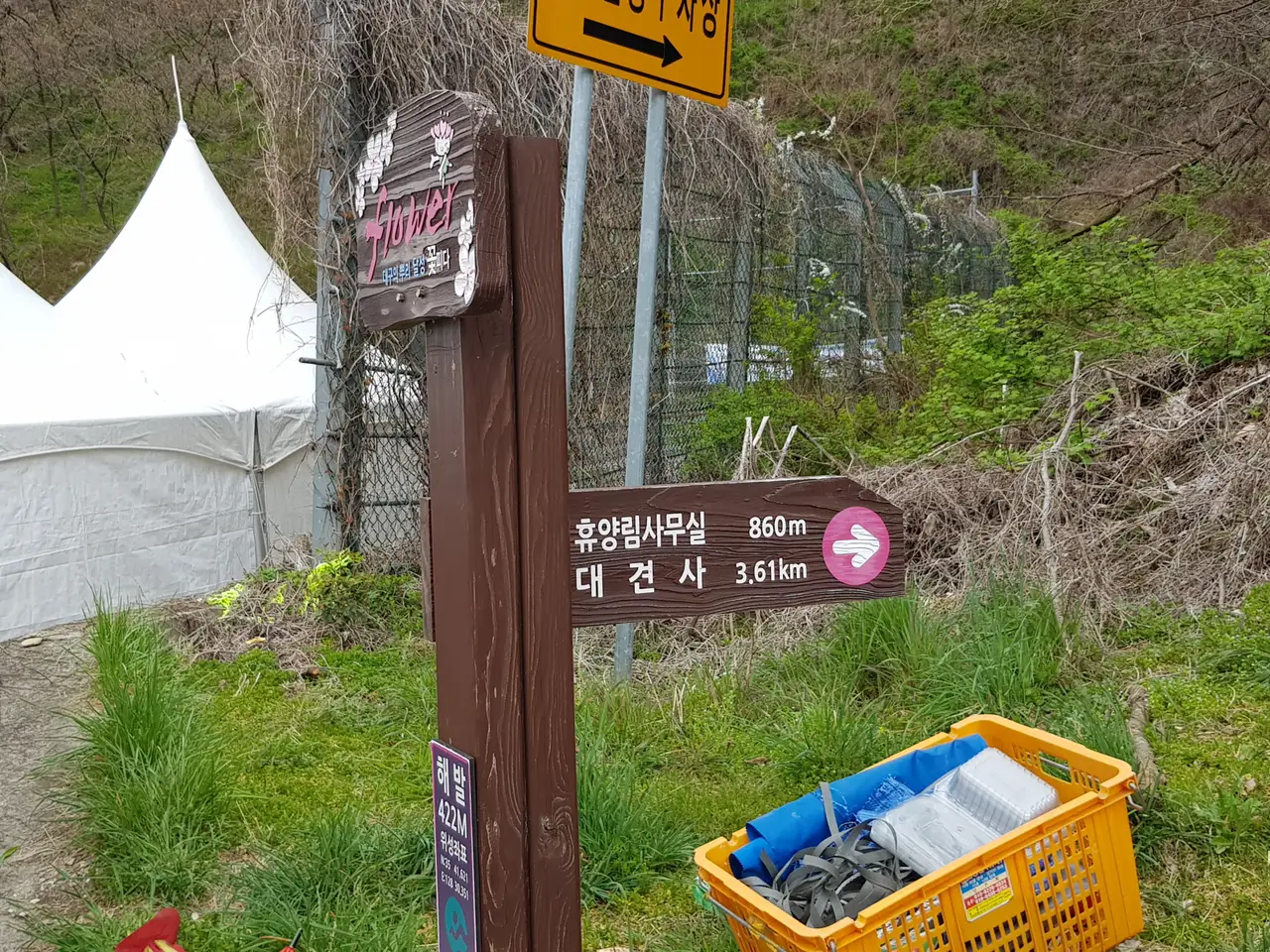 (5점) 대구 비슬산 참꽃. 비슬산자연휴양림 공영주차장->대견사 코스. 작업 사진 4