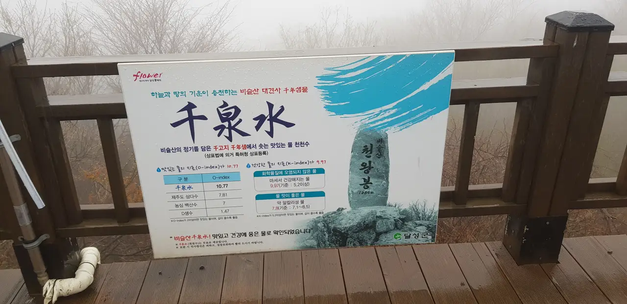 (5점) 대구 비슬산 참꽃. 비슬산자연휴양림 공영주차장->대견사 코스. 작업 사진 42