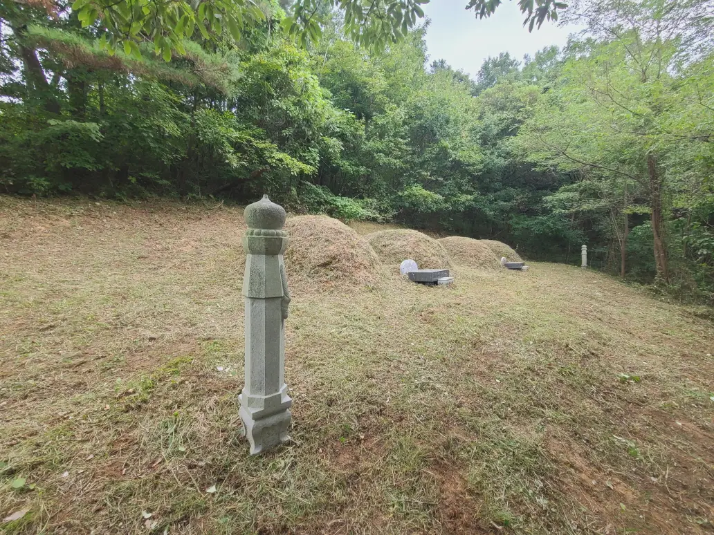 (벌초 대행) 영천시 고경면, 대창면, 북안면, 신녕면, 임고면, 청통면, 화남면, 화북면, 화산면 벌초 후기. 가격. 작업 사진 6