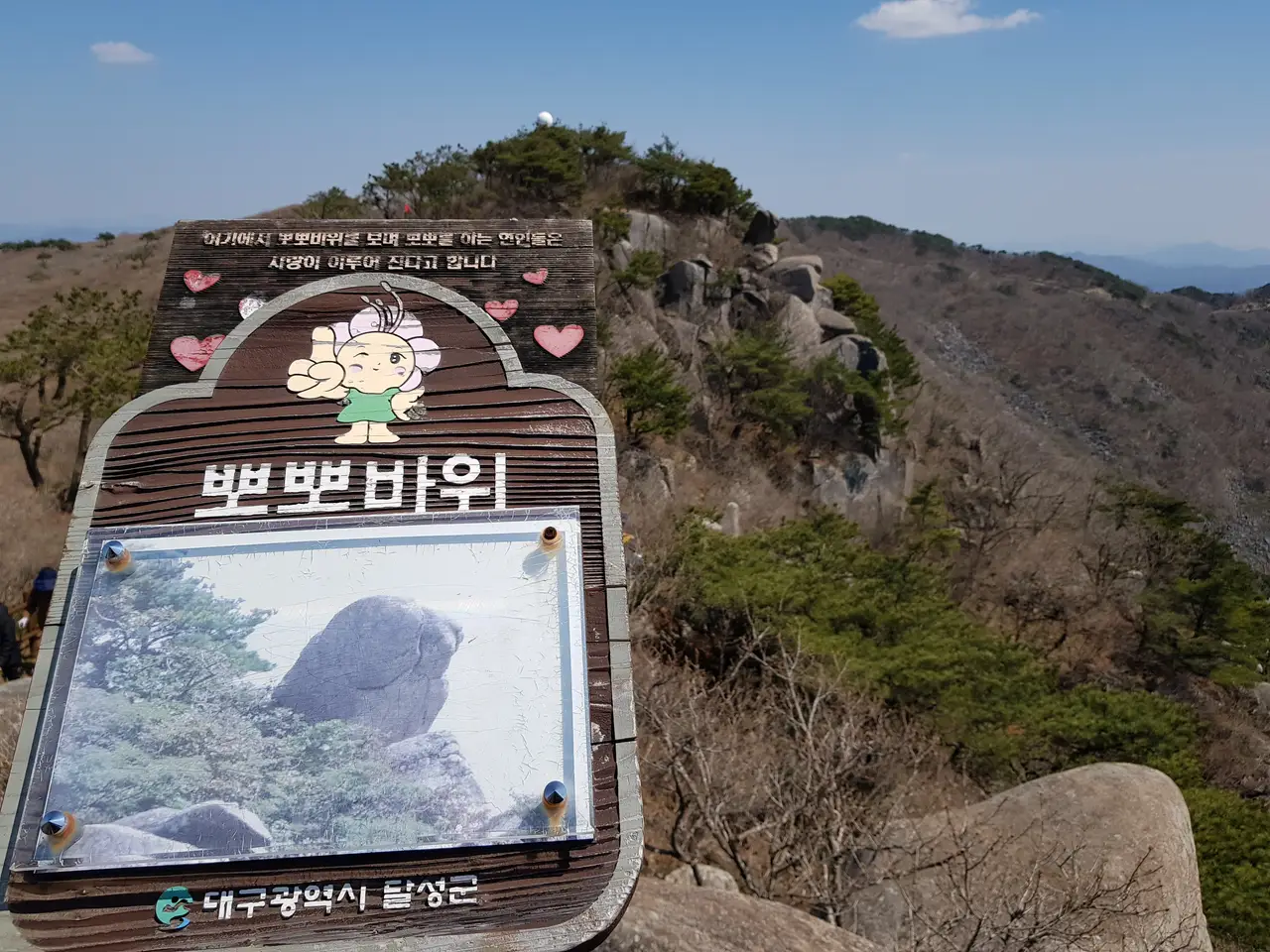 2020년 아쉬운 비슬산 참꽃. 유가사=>천왕봉=>참꽃군락지=>유가사 코스 작업 사진 63