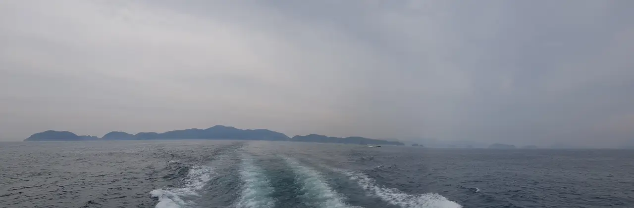 (5점) 6월 말~7월 초 경남 통영 추천 여행지. '연화도 수국 꽃 여행' 작업 사진 50