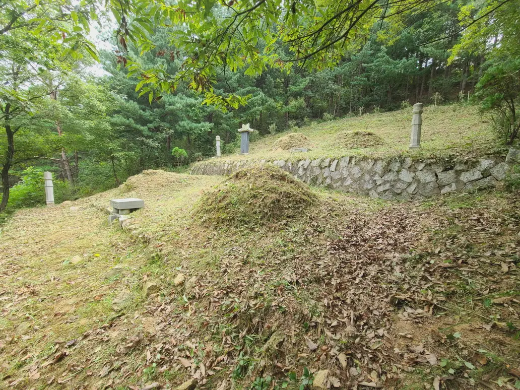 대구 동구 1곳, 수성구 2곳 벌초 대행 다녀왔습니다. 작업 사진 11