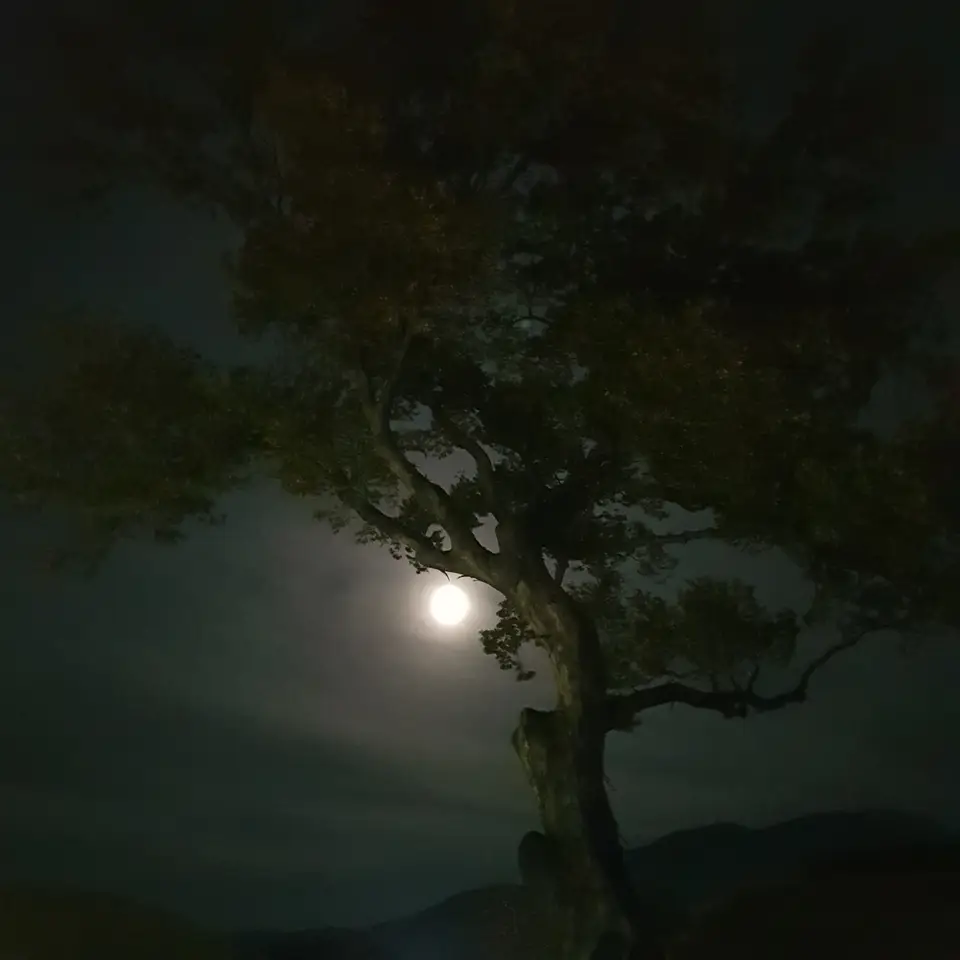 (5점) 충남 아산.  한옥 민박이 가능한 민속마을인 '외암마을'의 여름과 가을. 작업 사진 24