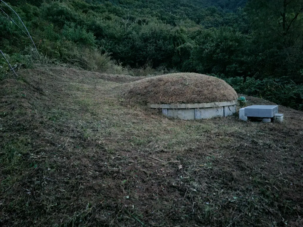 (벌초 대행) 영천시 고경면, 대창면, 북안면, 신녕면, 임고면, 청통면, 화남면, 화북면, 화산면 벌초 후기. 가격. 작업 사진 48
