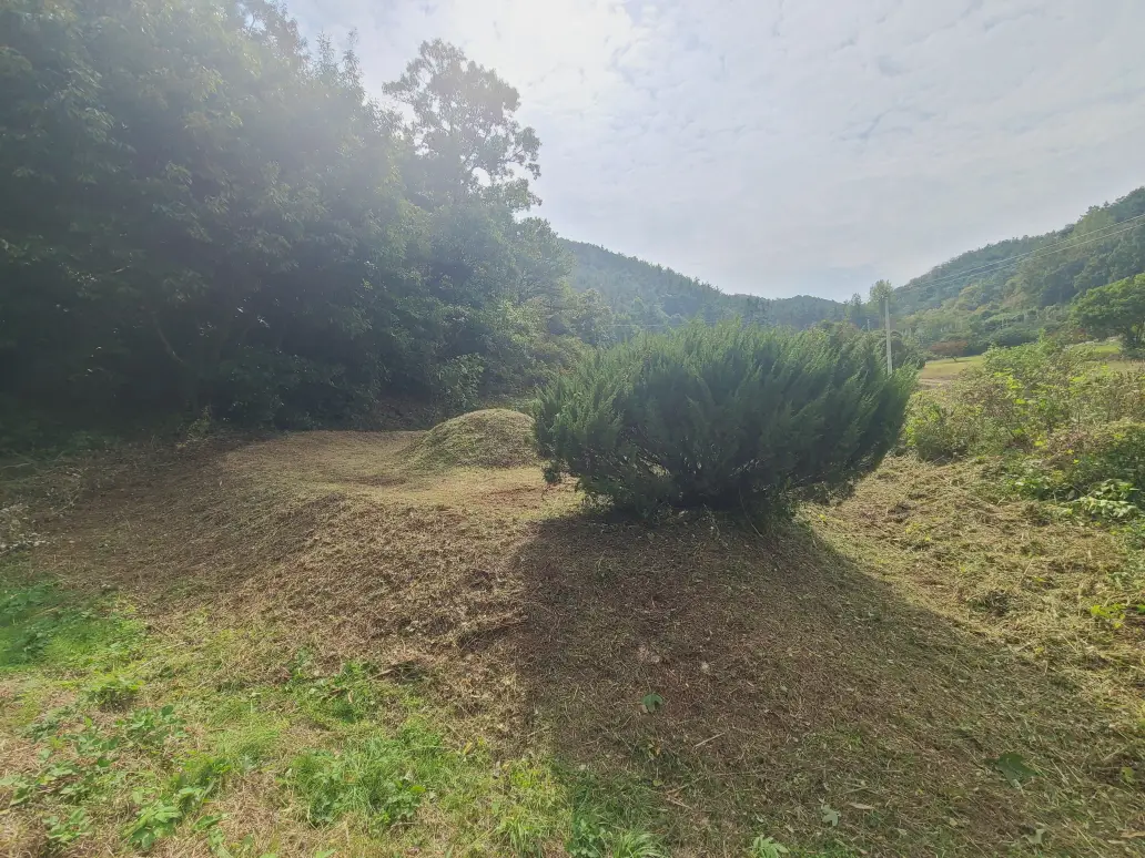 경산시 용성면, 자인면, 진량읍, 하양읍 벌초대행 짧은 후기. 작업 사진 12