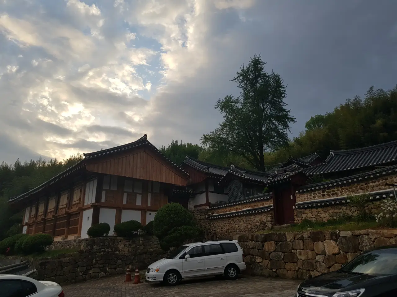 (5점) 전남 담양 '죽녹원' 이 정도는 되어야 대나무 숲이지~ 작업 사진 37