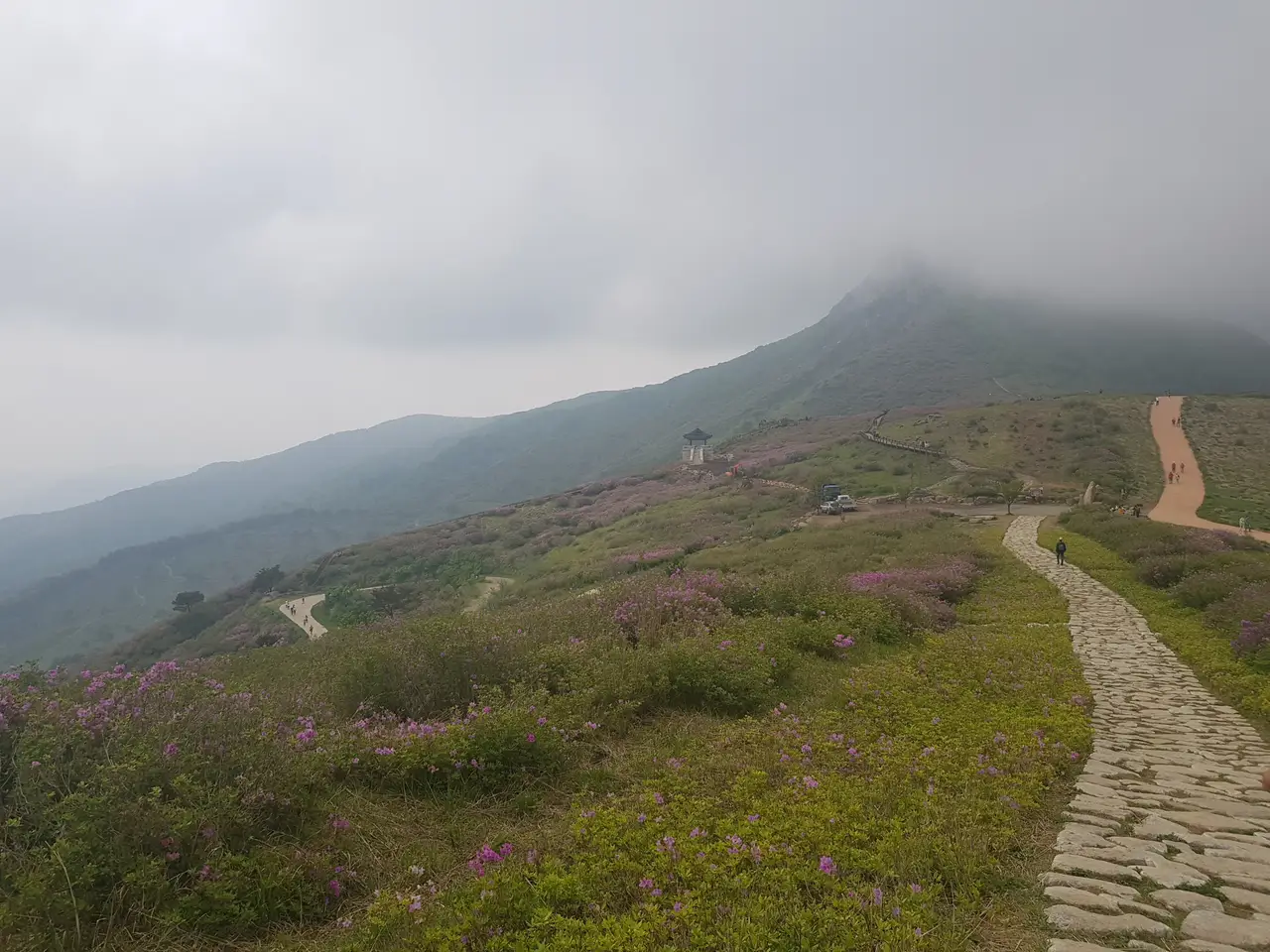 (5점) 5월 놓치면 안 되는 봄꽃 여행지 경남 합천 '황매산 철쭉' 작업 사진 27