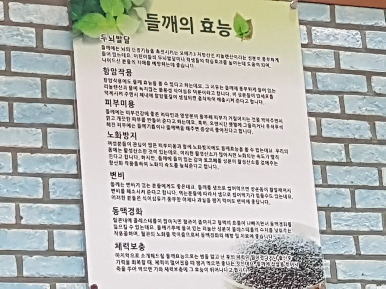 (5점) 경남 밀양 수타 들깨칼국수 맛집 '홍두깨칼국수' 작업 사진 9