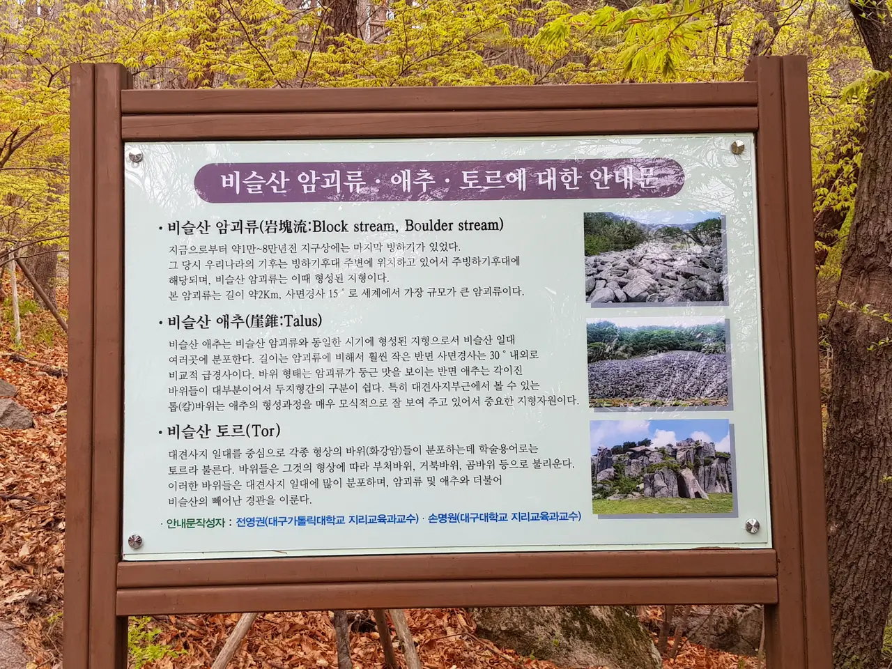 (5점) 대구 비슬산 참꽃. 비슬산자연휴양림 공영주차장->대견사 코스. 작업 사진 14