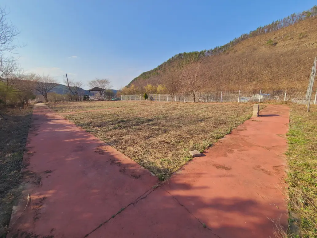 (텃밭 제초 작업) 대구 군위군 부계면 제초 작업 후기. 제초(예초) 작업 가격. 작업 사진 4