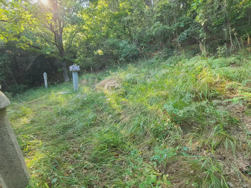 (벌초 대행) 대구 달성군 구지면, 다사읍 / 동구 내곡동, 신무동 / 수성구 만촌동 벌초 짧은 후기. 벌초 가격. 작업 사진 9