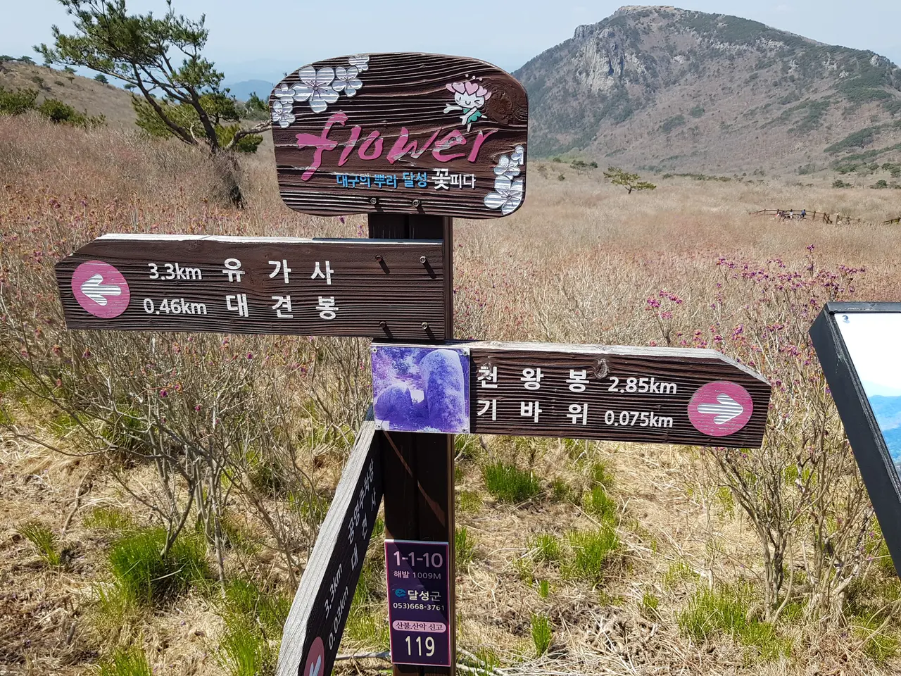 2020년 아쉬운 비슬산 참꽃. 유가사=>천왕봉=>참꽃군락지=>유가사 코스 작업 사진 57