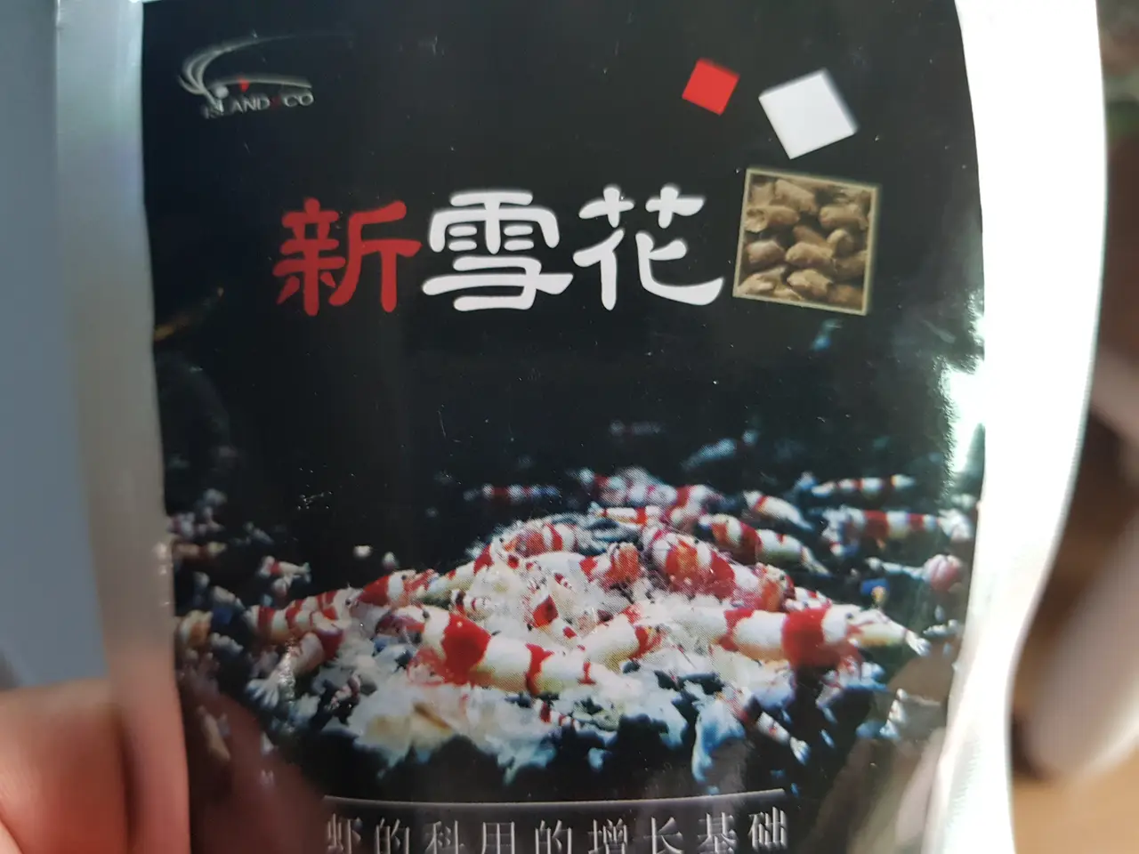 화이트 클라키. 잦은 탈피, 가재사료와 어항 물깨짐, 암수구별법, 짝짓기 작업 사진 2