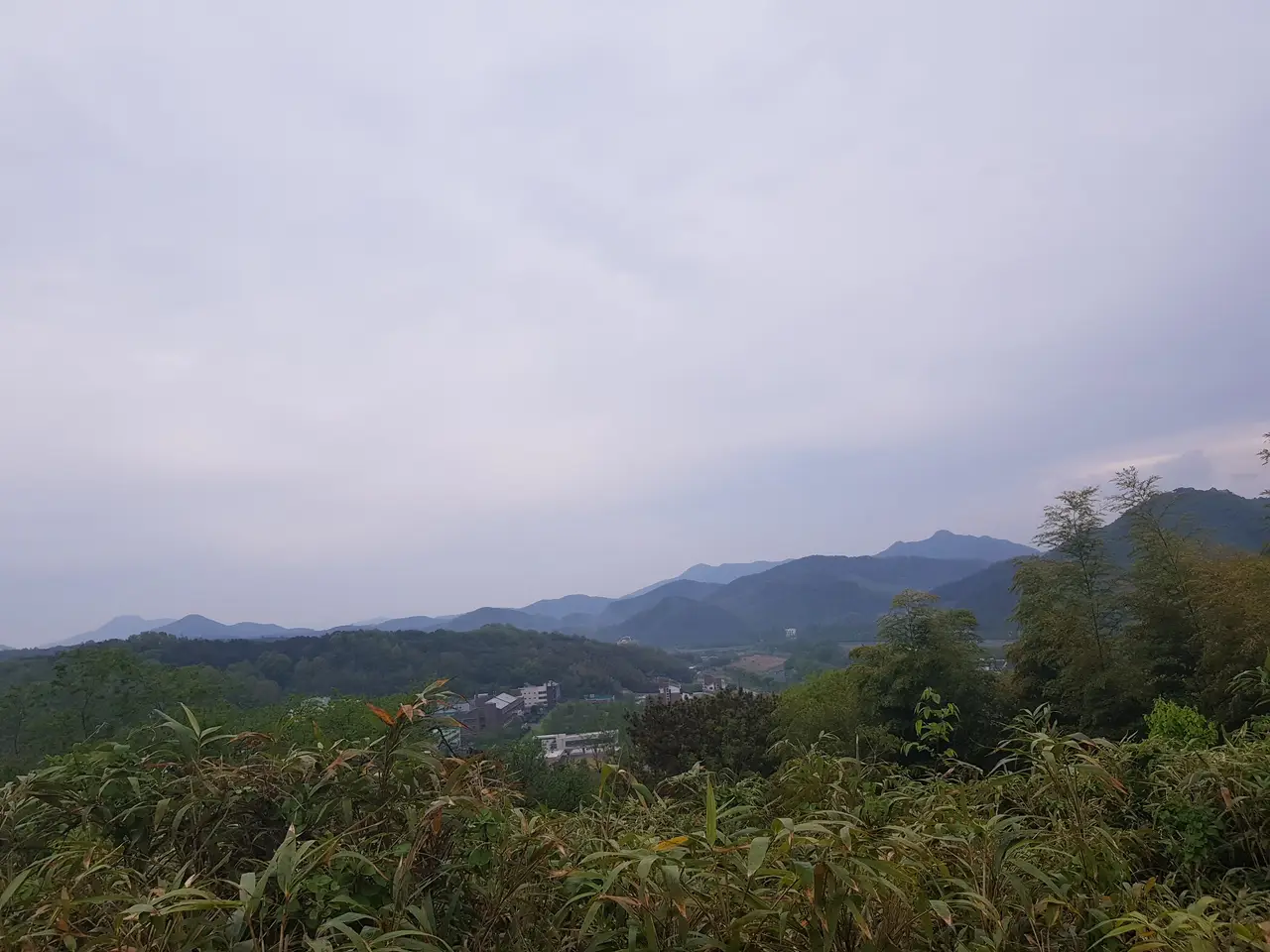 (5점) 전남 담양 '죽녹원' 이 정도는 되어야 대나무 숲이지~ 작업 사진 14