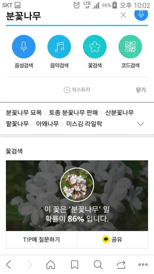 <대구 수성못 용지봉>용지봉에서 바라보는 대구와 꽃이름 찾는 어플 작업 사진 6