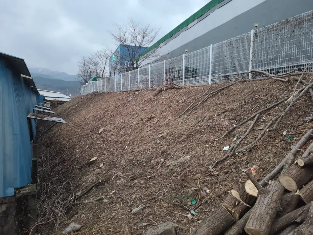 영천시 신녕면 제초 작업 및 벌목 다녀왔습니다. 작업 사진 9