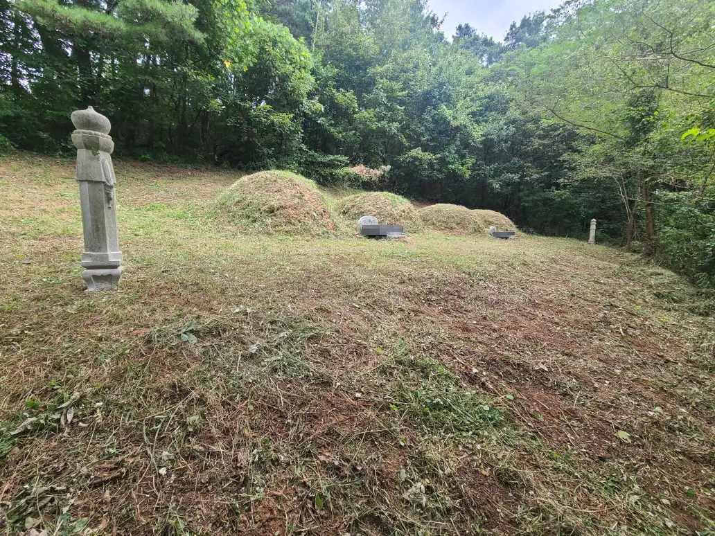 영천시 고경면 벌초 다녀왔습니다. 작업 사진 2